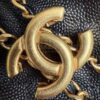 Chanel 25 Medium Handbag
